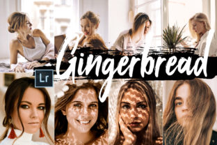 Download 5 Gingerbread Desktop Lightroom Presets - Desktop lightroom presets Collection